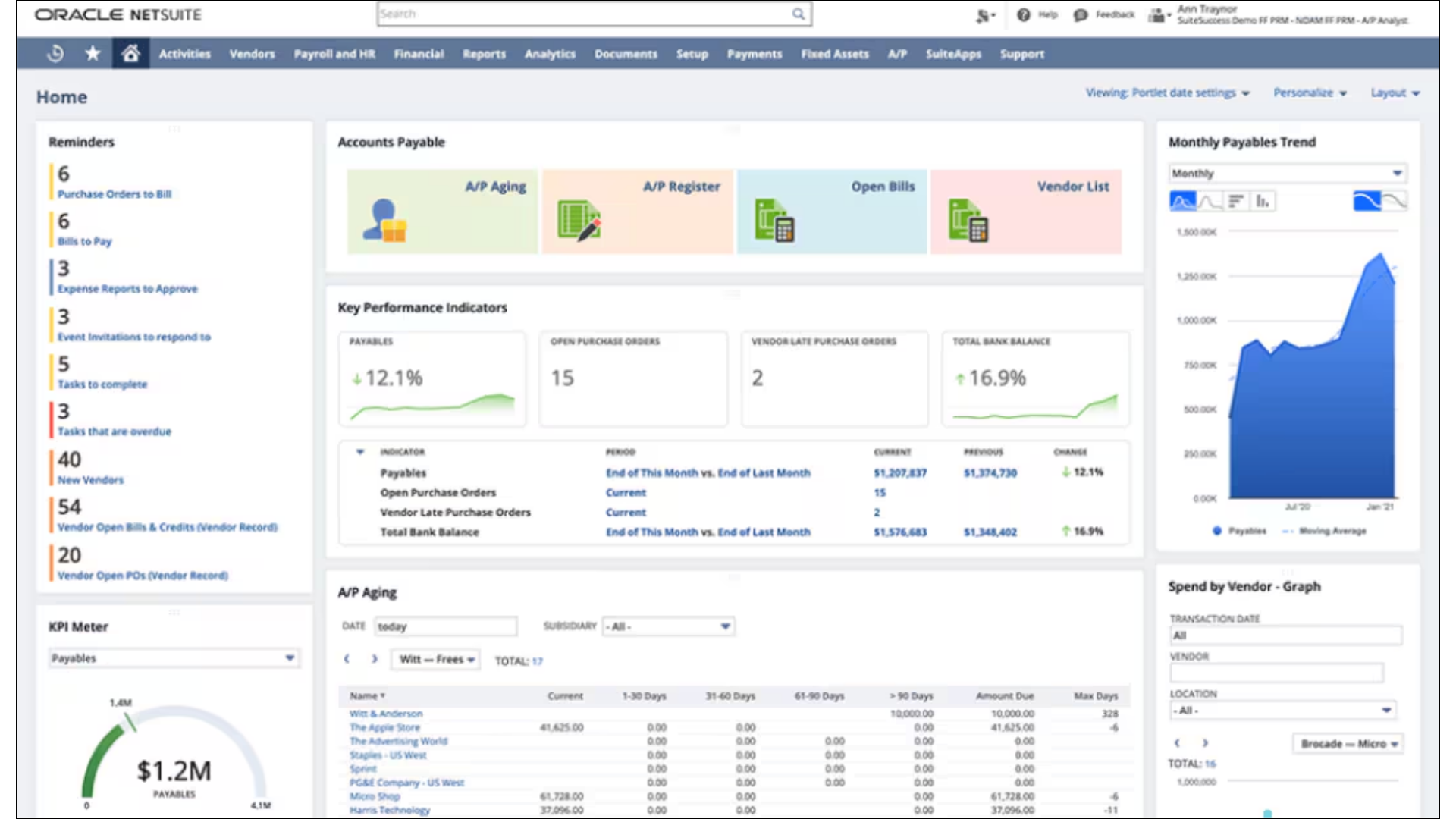 Accounts Payable Dashboards in NetSuite