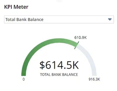 KPI Meters NetSuite