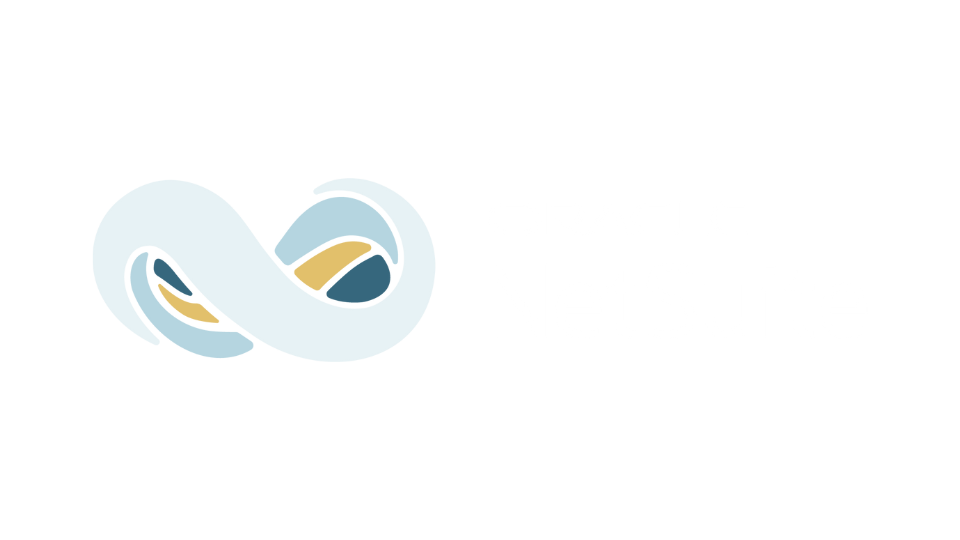 NetSuite Home