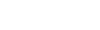 NetSuite Solution Provider Partner Logo