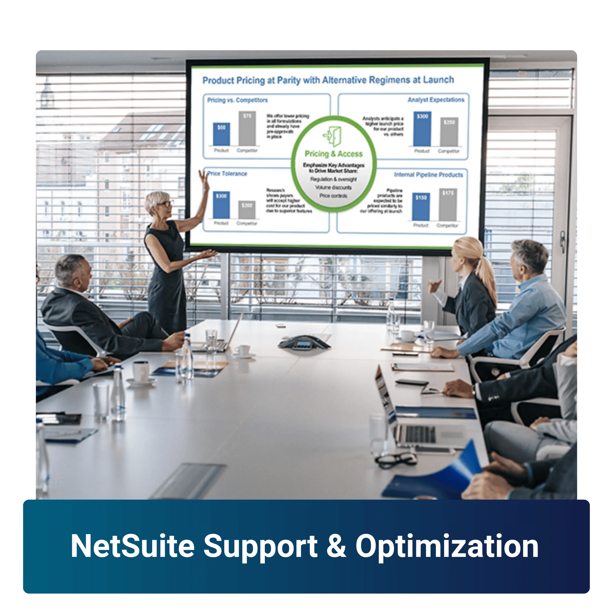 NetSuite Support-converted-from-png