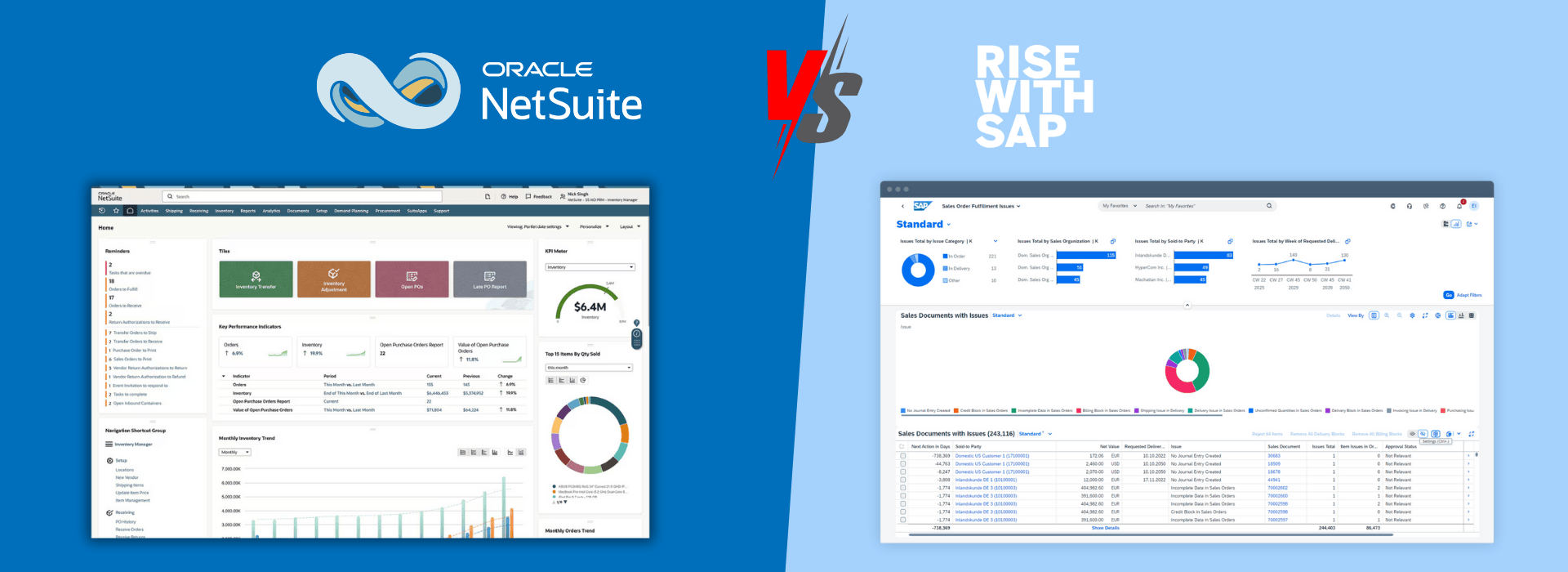 NetSuite VS Rise with SAP