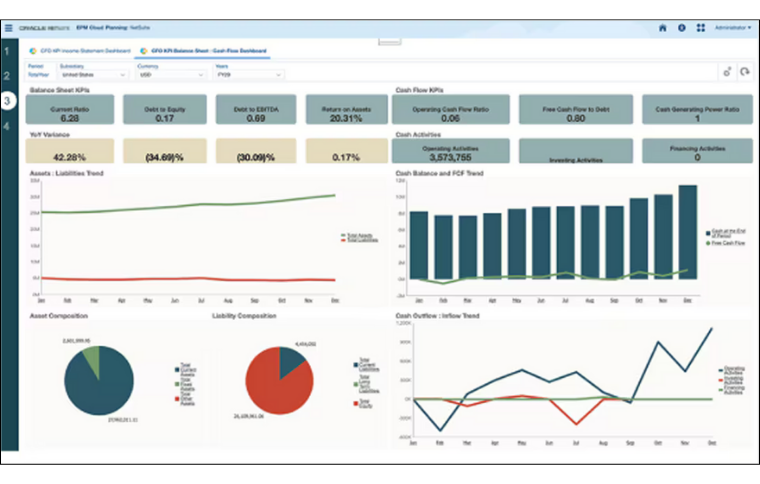 Planning and Budgenting Data Visibility in NetSuite