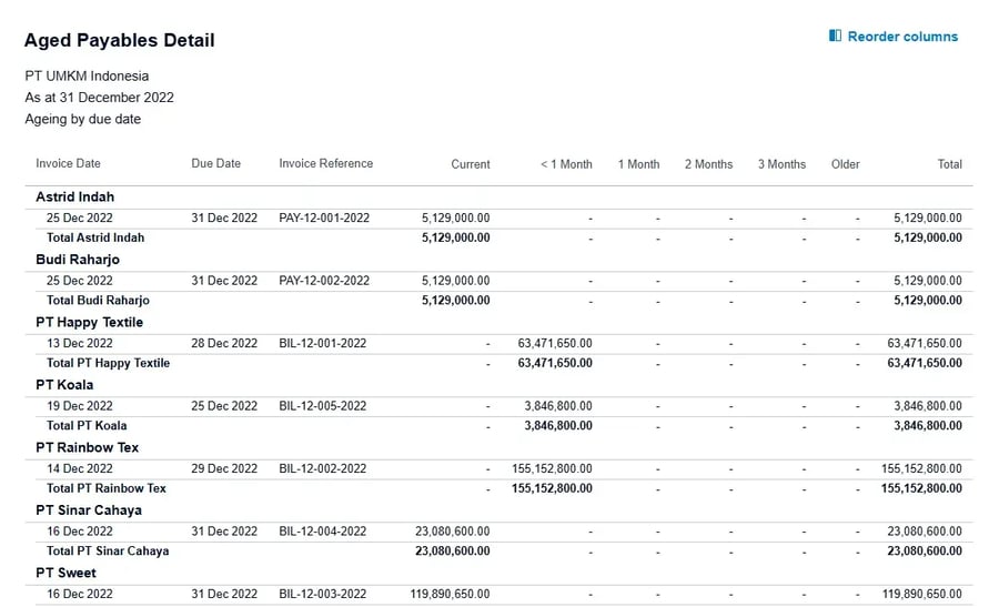 Tampilan Laporan Aged Payables Detail di Xero