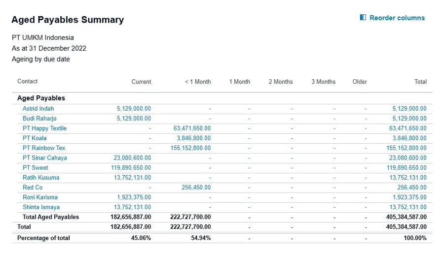 Tampilan Laporan Aged Payables Summary di Xero