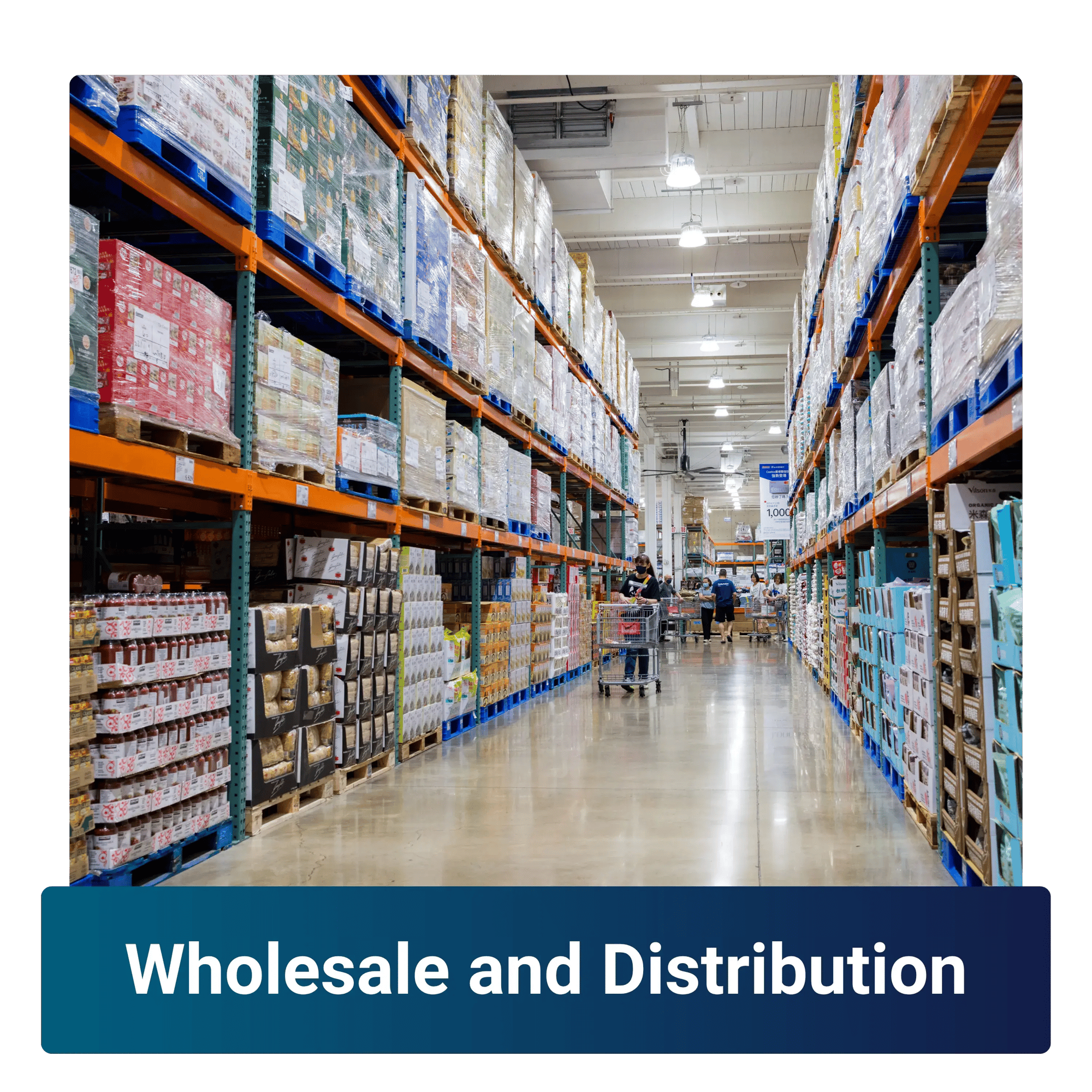 Wholesale and distribution-converted-from-png