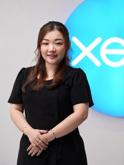 A Logiframe team member